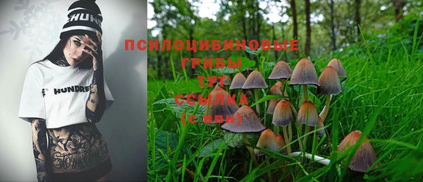 Альфа ПВП Бутурлиновка