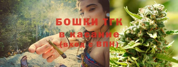 PSILOCYBIN Валдай