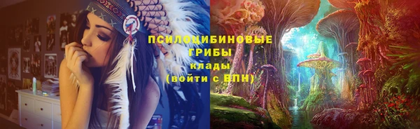 герыч Новозыбков