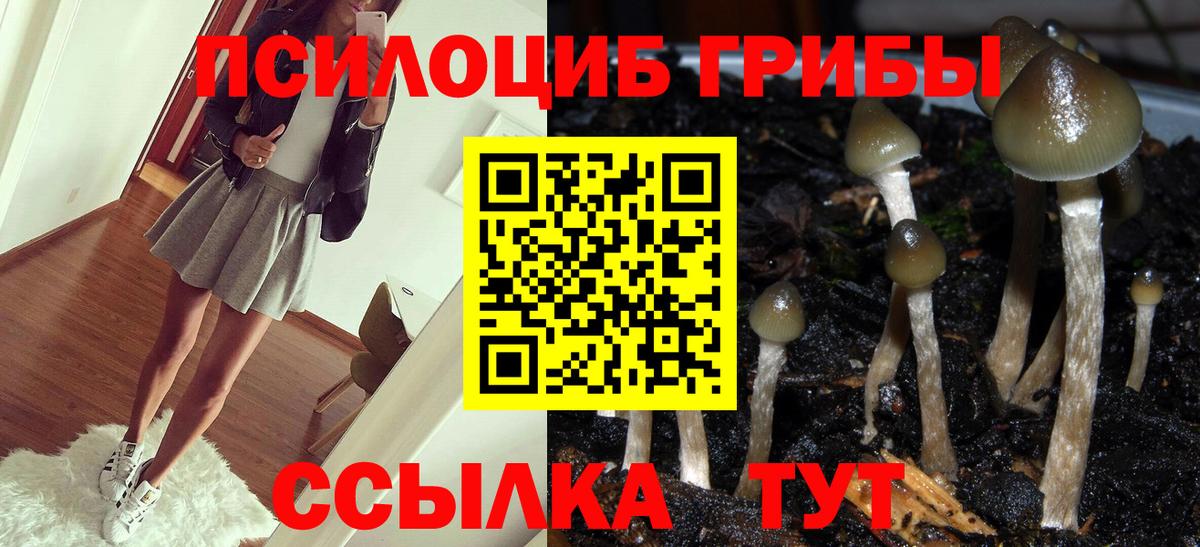 Галлюциногенные грибы Psilocybine cubensis  Вход с VPN  Галлюциногенные грибы прущие грибы  Кропоткин 