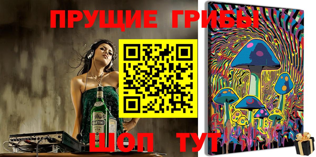 дарнет шоп  Кропоткин  Псилоцибиновые грибы Magic Shrooms  Галлюциногенные грибы Magic Shrooms 