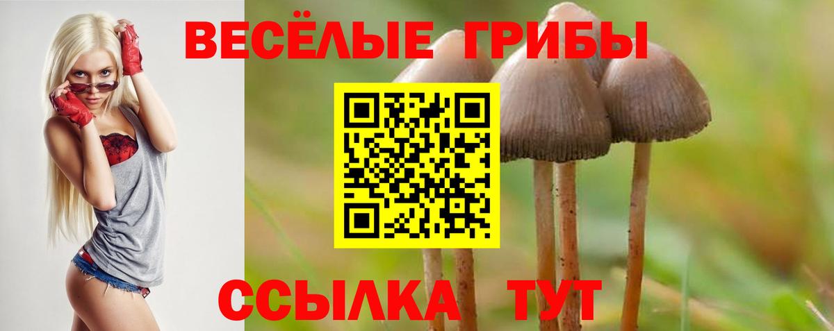 Галлюциногенные грибы мицелий Кропоткин